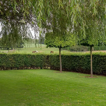 B&B Bertem Natuur-2